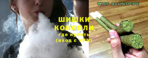 индика Покров