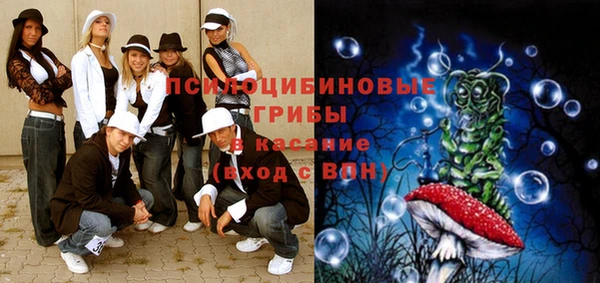 индика Покров