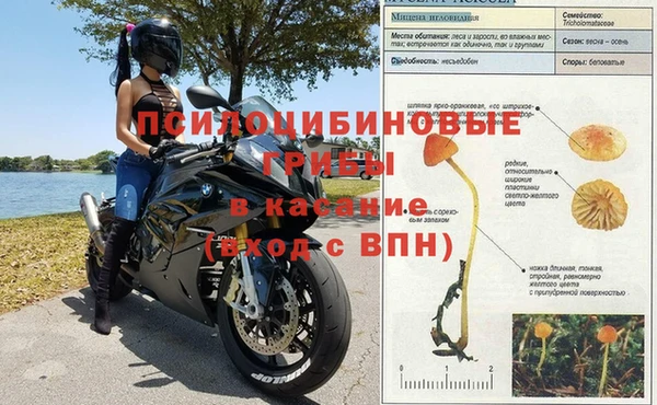 ALPHA-PVP Покачи
