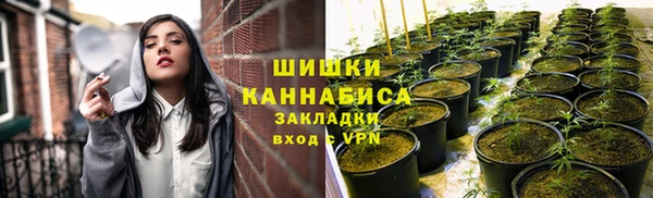 эйфоретик Пестово