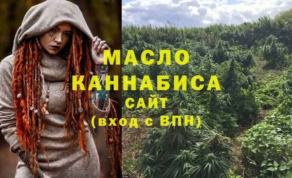 индика Покров